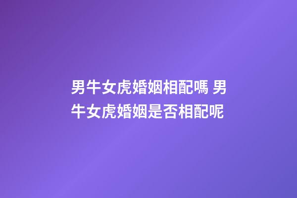 男牛女虎婚姻相配嗎 男牛女虎婚姻是否相配呢-第1張-觀點-玄機派